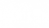 bee-horizon-logo-white