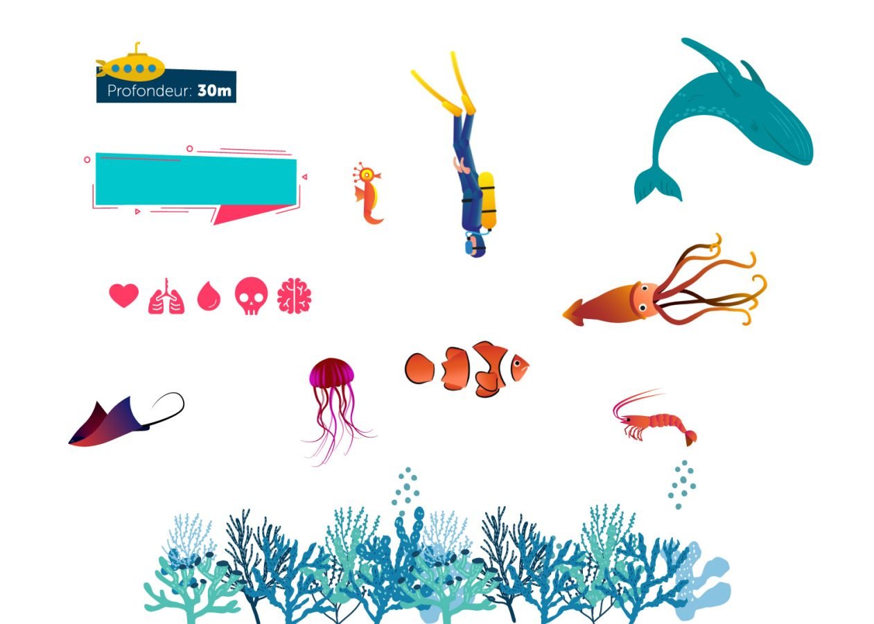 data-sets-marine-life