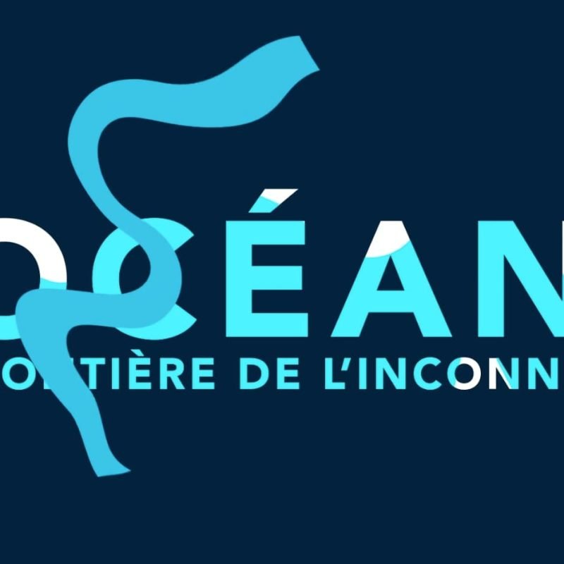 Ocean-motion-design